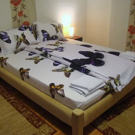 Guest house Andrei *