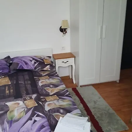 Andrei Guest house *