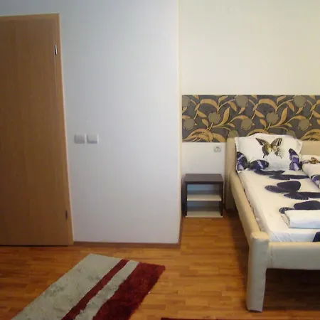 Guest house Andrei