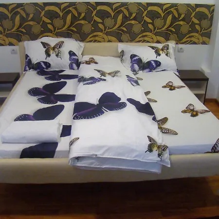 Andrei Guest house *