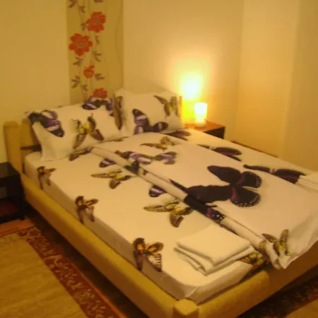Guest house Andrei *