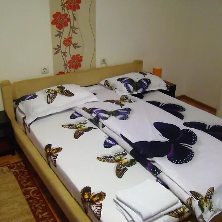 Guest house Andrei Cluj-Napoca