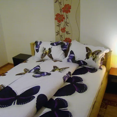 Guest house Andrei *