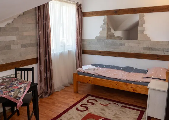 Andrei Penzion Kluž