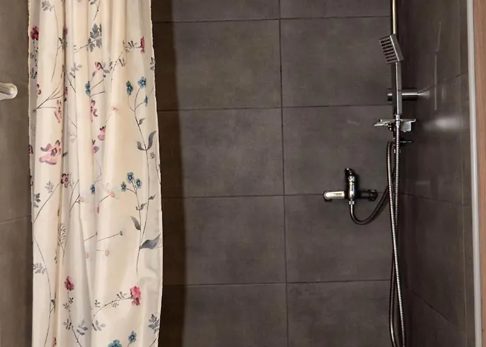 Vendégház Andrei *