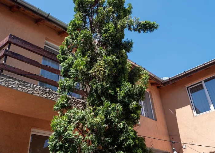 Andrei Vendégház *